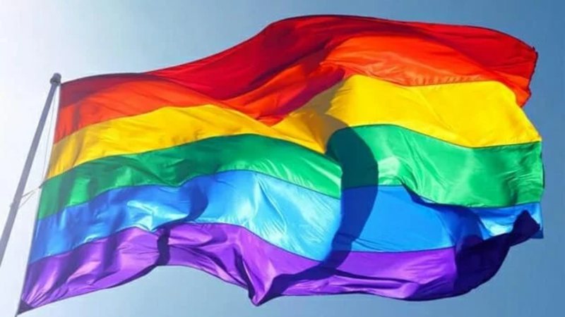 Comissão da Câmara discute projeto de lei que pode vetar casamento gay no Brasil - Reprodução