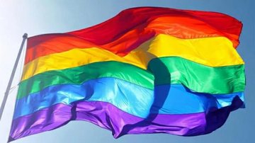 Comissão da Câmara discute projeto de lei que pode vetar casamento gay no Brasil - Reprodução