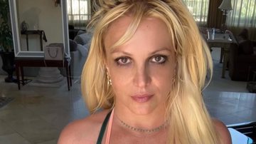 Britney Spears dispensa roupas e posa completamente nua na praia - Instagram