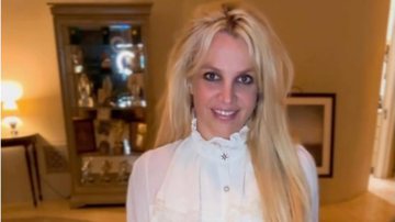 Britney Spears lança prato especial para arrecadar fundos para instituição LGBTQIA+ - Instagram