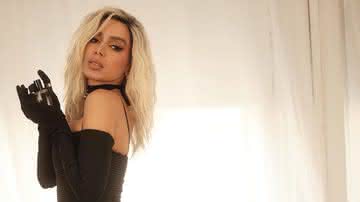 Anitta se revolta após ser chamada de 'vadia' por cantor - Instagram