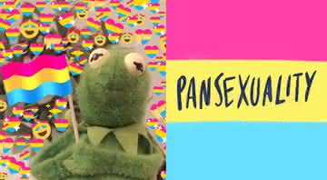 Você sabe o que é pansexualidade? - Twitter