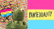 Você sabe o que é pansexualidade? - Twitter
