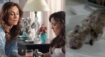 Tereza Cristina serve rato para filha grávida comer - TV Globo
