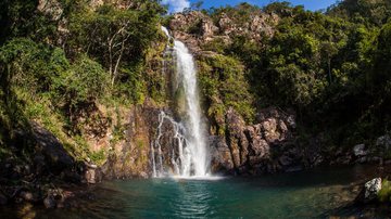 Mato Grosso é o destino ideal para explorar a natureza (Imagem: Luciano Queiroz | Shutterstock)