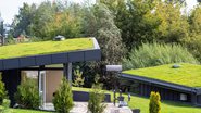 O telhado verde é uma das opções para casas mais sustentáveis (Imagem: Shutterstock)