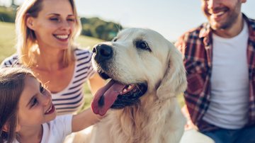 A adoção de um cão não é algo simples e deve envolver muita seriedade e reflexão (Imagem: 4 PM production | Shutterstock)