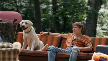 Filmes promovem ações positivas em relação aos cuidados com os animais  (Imagem: Reprodução digital | Netflix)