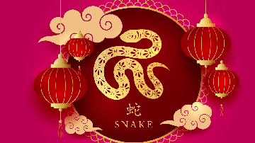 Signo da Serpente é conhecido por sua astúcia e sabedoria (Imagem: John Hong | Shutterstock)
