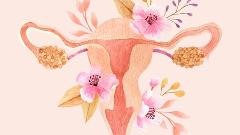 Câncer de ovário: médico alerta importância de notar os primeiros sintomas da doença - Freepik