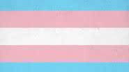 Dia Nacional da Visibilidade Trans: Conheça os direitos das pessoas trans na saúde - Freepik