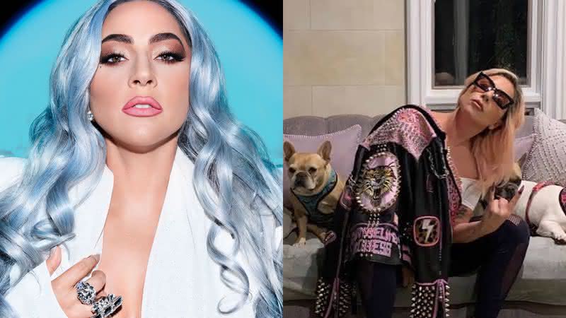 Cães da Lady Gaga são sequestrados e 'dog walker' foi baleado durante ação; Cantora oferece recompensa de US$500 mil - Instagram