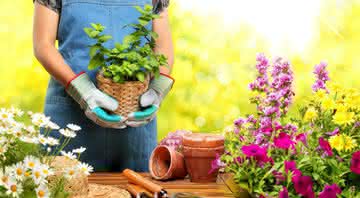 dicas de jardinagem - Shutterstock