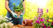 dicas de jardinagem - Shutterstock