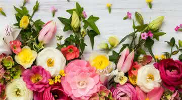 A sua flor preferida fala sobre seu temperamento - Shutterstock