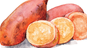 Apague a idade com batata-doce roxa - Shutterstock