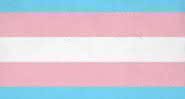 Dia Nacional da Visibilidade de Transexuais e Travestis: 4 aspectos que mudaram desde a criação da data - Freepik